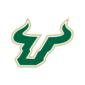 University of South Florida