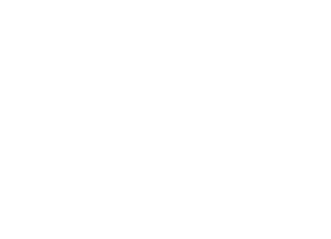 wordpress2