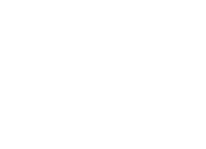 salesforce (2)